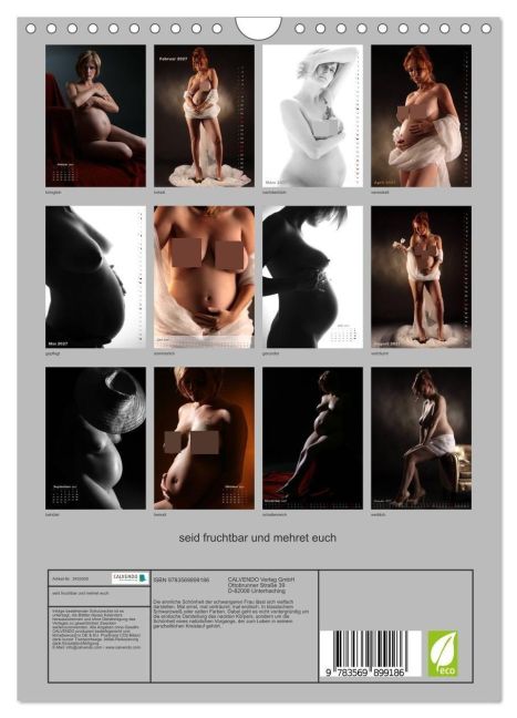 InsideView 5