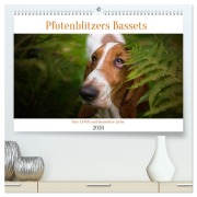 Cover-Bild zum Titel 'Der Basset, eine LANGE und besondere Liebe (hochwertiger Premium Wandkalender 2026 DIN A2 quer), Kunstdruck in Hochglanz' von 'Pfotenblitzer Tierfotografie'