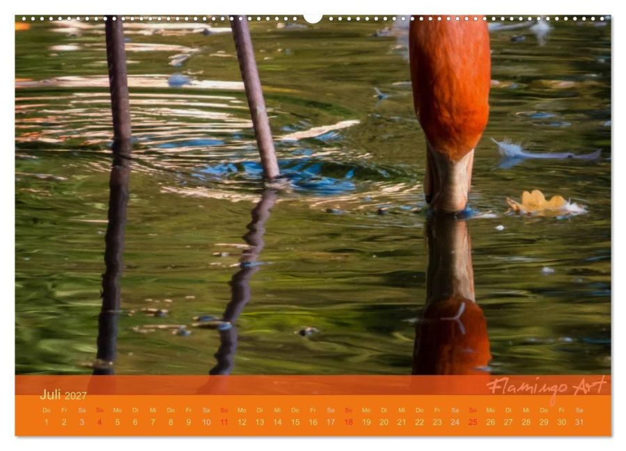 InsideView 12