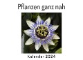 Cover-Bild zum Titel 'Pflanzen ganz nah (Wandkalender 2024, Kalender DIN A4 quer, Monatskalender im Querformat mit Kalendarium, Das perfekte Geschenk)' von 'Anna Müller'