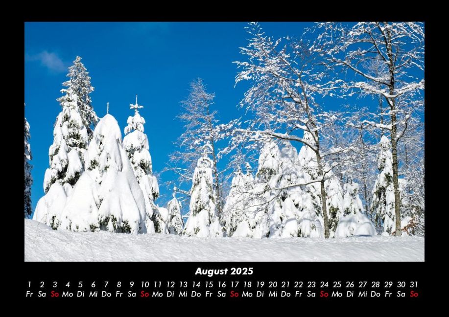 InsideView 12