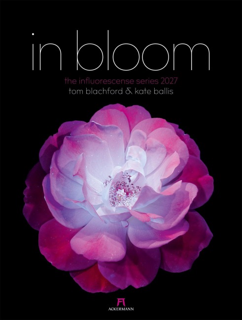 in bloom Kalender 2027 - Blachford, Ackermann Kunstverlag GmbH
