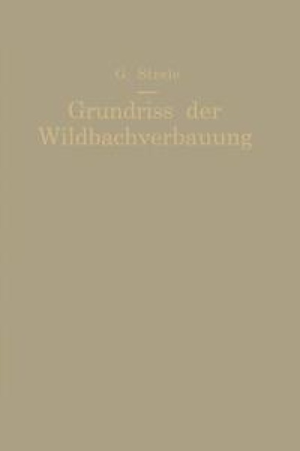 Grundriß der Wildbachverbauung - Georg Strele