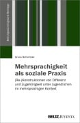 Cover-Bild zum Titel 'Mehrsprachigkeit als soziale Praxis' von 'Anna Schnitzer'