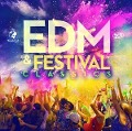 EDM & Festival Classics - Various