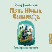 Cover-Bild zum Titel 'The Mystery of the Strange Bundle' von 'Enid Blajton'