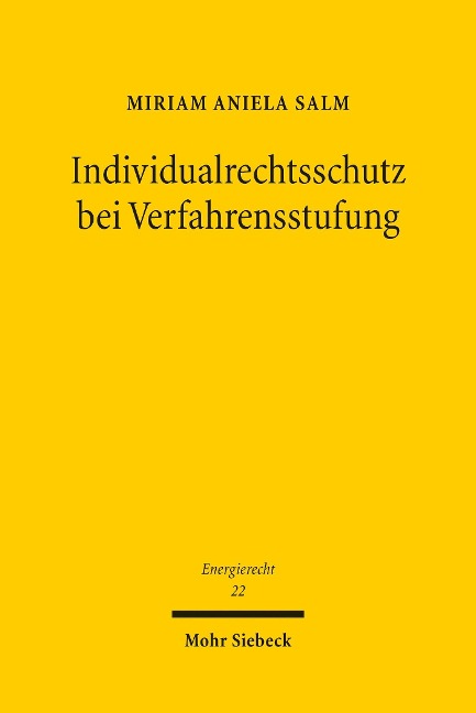 Individualrechtsschutz bei Verfahrensstufung - Miriam Aniela Salm