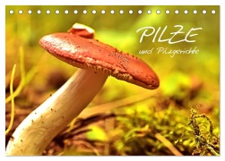 Cover-Bild zum Titel 'Pilze und Pilzgerichte (Tischkalender 2026 DIN A5 quer), CALVENDO Monatskalender' von 'Elisabeth Stanzer'