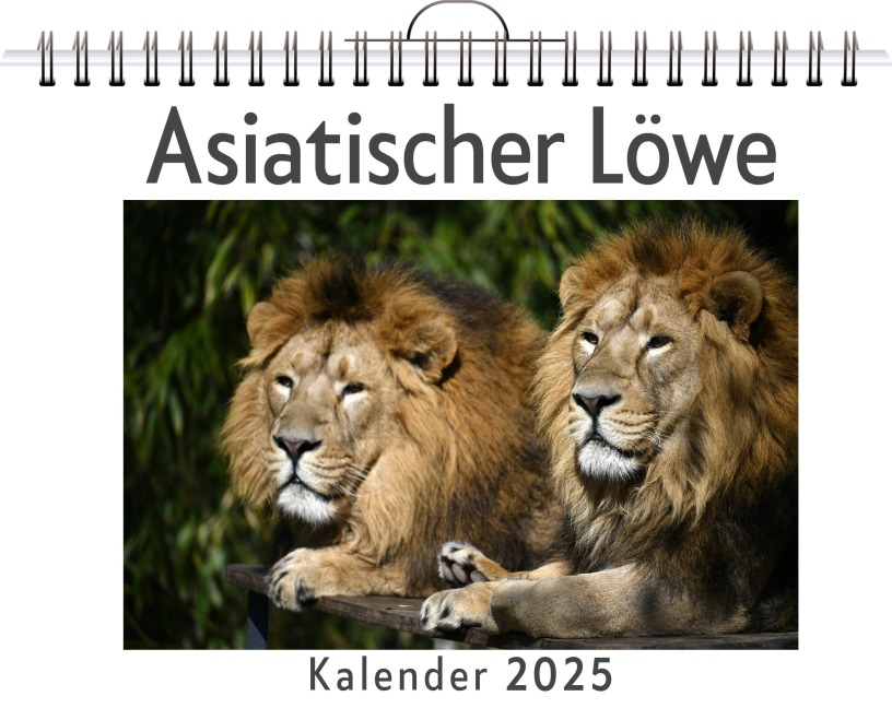 Asiatischer Löwe - Emma Peters