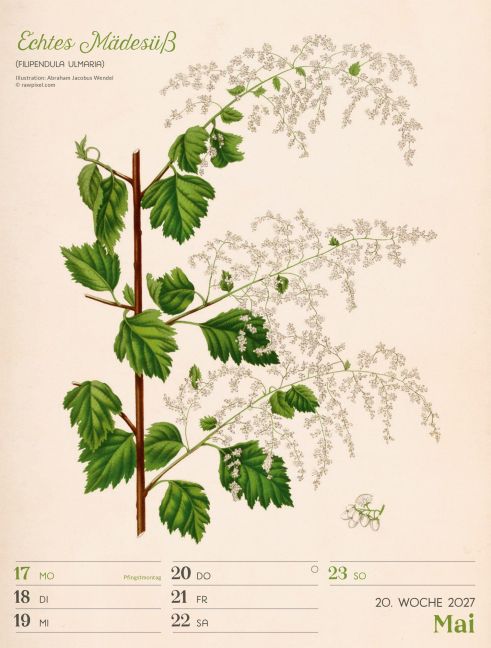 InsideView 24