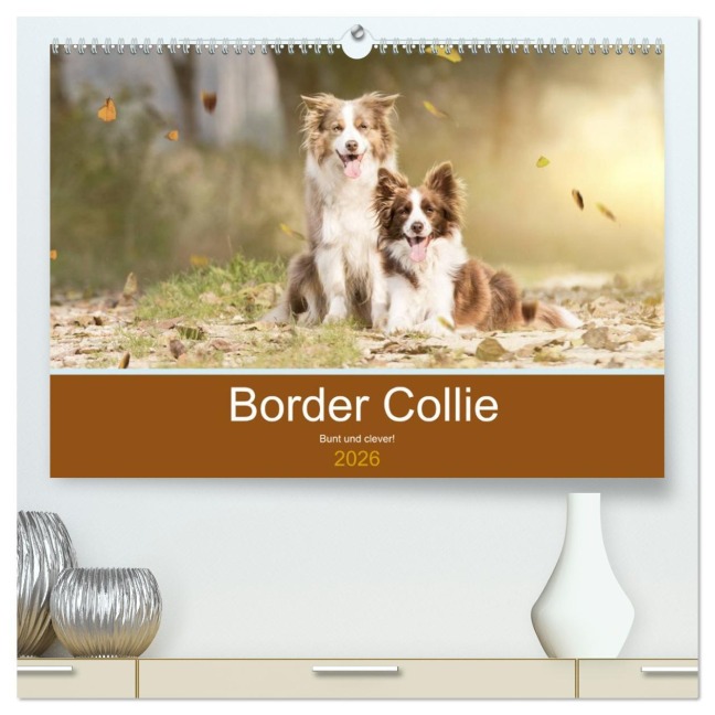 Border Collie - Bunt und clever! (hochwertiger Premium Wandkalender 2026 DIN A2 quer), Kunstdruck in Hochglanz - Andrea Mayer Tierfotografie