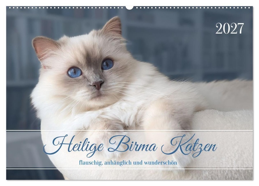 Heilige Birma Katzen - flauschig, anhänglich und wunderschön (Wandkalender 2027 DIN A2 quer), CALVENDO Monatskalender - Michaela Thoms