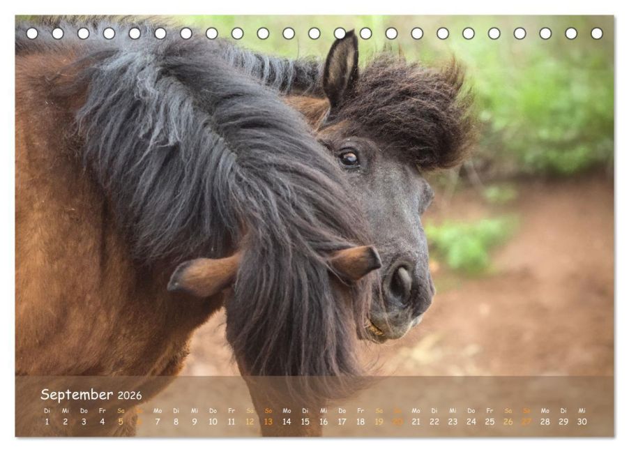 InsideView 14