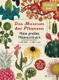 Das Museum der Pflanzen. Mein Mitmachbuch - Katie Scott, Kathy Willis