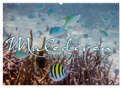 Unterwasserwelt der Malediven III (Wandkalender 2024 DIN A2 quer), CALVENDO Monatskalender - Clave Rodriguez Photography
