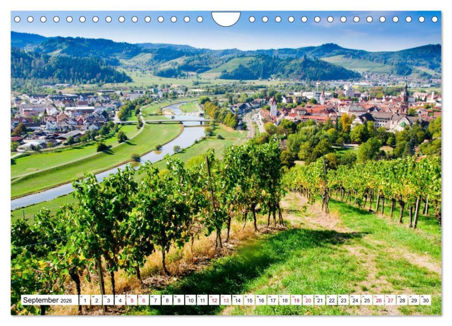InsideView 14