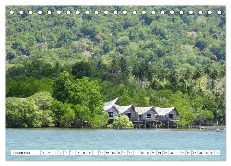 InsideView 6