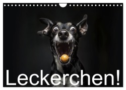 Cover-Bild zum Titel 'Leckerchen! (Wandkalender 2026 DIN A4 quer), CALVENDO Monatskalender' von 'Jürgen Moers'