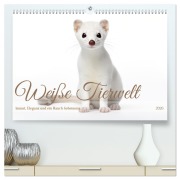 Cover-Bild zum Titel 'Weiße Tierwelt (hochwertiger Premium Wandkalender 2026 DIN A2 quer), Kunstdruck in Hochglanz' von 'Daniela Tapper'