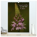 Juwelen der Natur - Ein Orchideensommer (hochwertiger Premium Wandkalender 2024 DIN A2 hoch), Kunstdruck in Hochglanz - Dirk Stamm