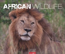 Cover-Bild zum Titel 'African Wildlife Kalender 2027' von ''