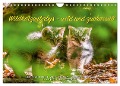 Wildkatzenbabys - wild und zuckersüß. (Wandkalender 2024 DIN A4 quer), CALVENDO Monatskalender - Ingo Gerlach