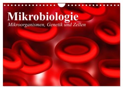 Mikrobiologie. Mikroorganismen, Genetik und Zellen (Wandkalender 2025 DIN A4 quer), CALVENDO Monatskalender - Elisabeth Stanzer