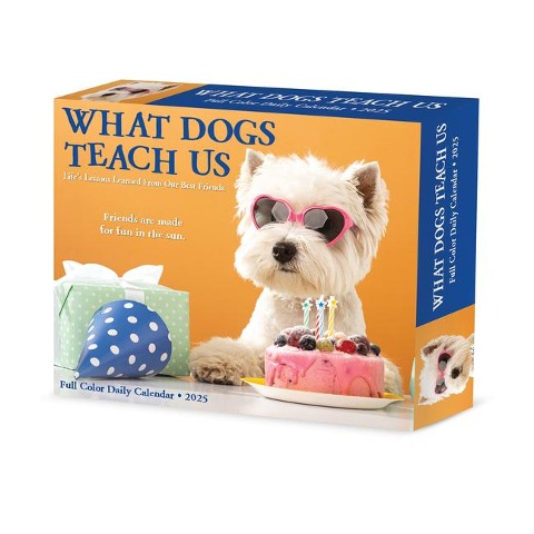 What Dogs Teach Us 2025 6.2 X 5.4 Box Calendar - Willow Creek Press