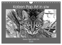 Katzen Pop Art in s/w - Kleine Tiger unter uns (Wandkalender 2025 DIN A4 quer), CALVENDO Monatskalender - Marion Bönner