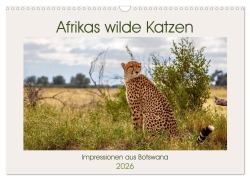 Afrikas wilde Katzen (Wandkalender 2026 DIN A3 quer), CALVENDO Monatskalender - Ursula Di Chito