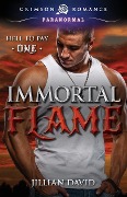 Cover-Bild zum Titel 'Immortal Flame' von 'Jillian David'
