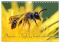 Bienen - Fleißige Gartenbewohner (Wandkalender 2025 DIN A4 quer), CALVENDO Monatskalender - Silvia Hahnefeld