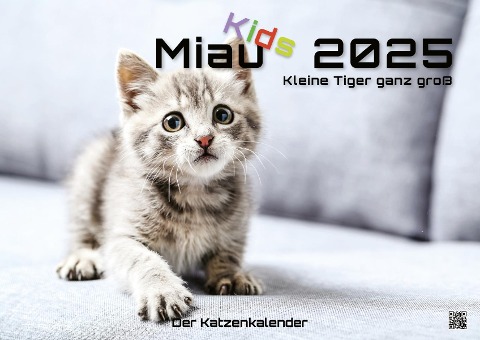 Miau Kids - kleine Tiger ganz groß - Der Katzenkalender - 2025 - Kalender DIN A2 - 