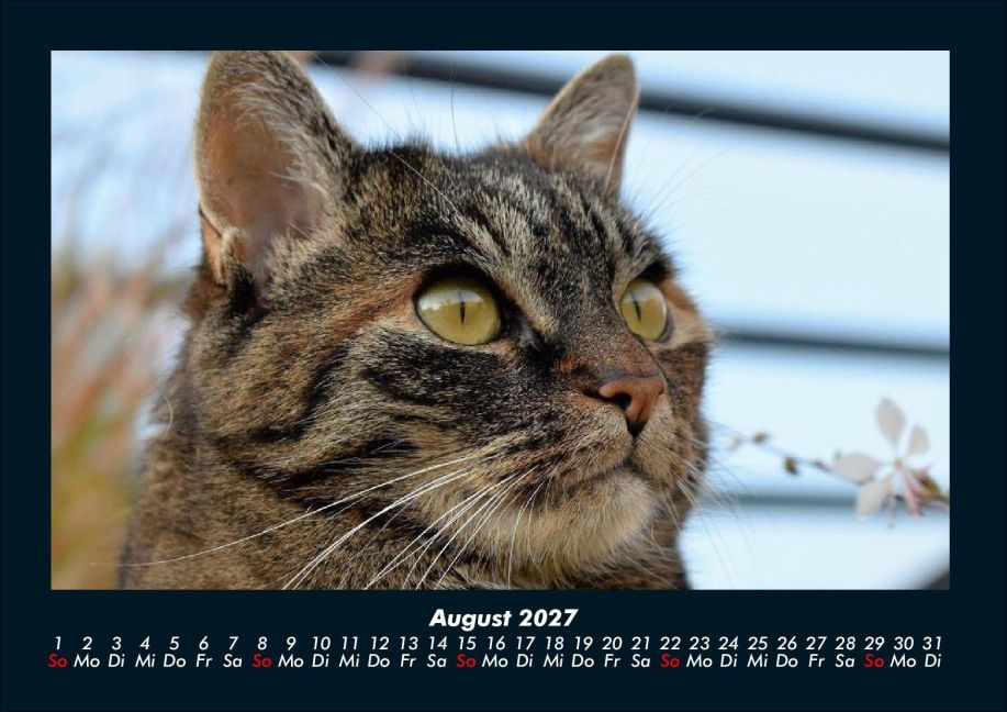 InsideView 12