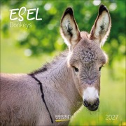Cover-Bild zum Titel 'Esel 2027' von ''