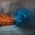 Cover-Bild zum Titel 'As Hope Valley Burns' von 'When The Deadbolt Breaks'