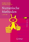 Numerische Methoden - Stefan Schneider, Thomas Huckle