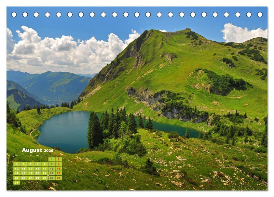 InsideView 13