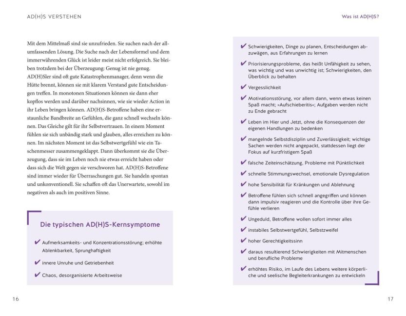 InsideView 4