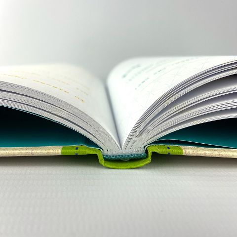 InsideView 6