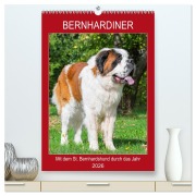 Cover-Bild zum Titel 'Bernhardiner - Mit dem St. Bernhardshund durch das Jahr (hochwertiger Premium Wandkalender 2026 DIN A2 hoch), Kunstdruck in Hochglanz' von 'Sigrid Starick'