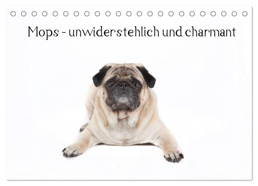 Mops - unwiderstehlich und charmant (Tischkalender 2026 DIN A5 quer), CALVENDO Monatskalender - Fotodesign Verena Scholze