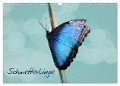 Schmetterlinge (Wandkalender 2024 DIN A3 quer), CALVENDO Monatskalender - Heike Hultsch