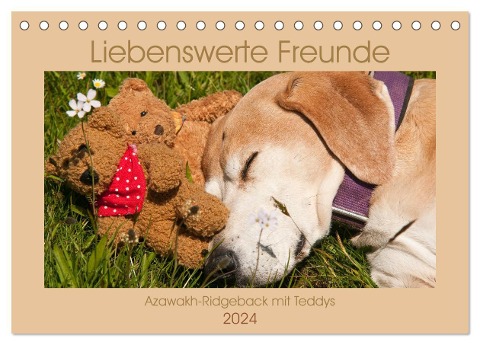 Liebenswerte Freunde - Azawakh-Ridgeback mit Teddys (Tischkalender 2024 DIN A5 quer), CALVENDO Monatskalender - Meike Bölts