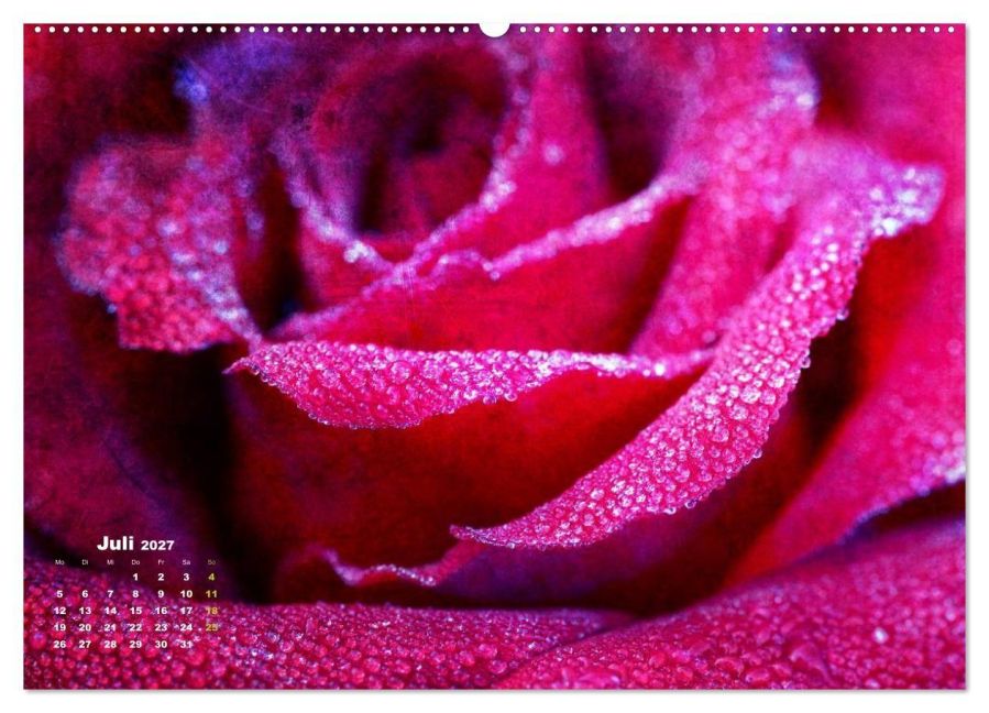 InsideView 12