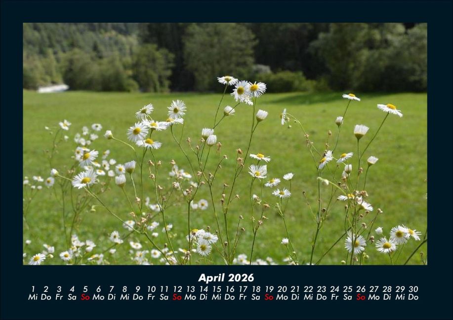 InsideView 8
