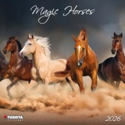 Cover-Bild zum Titel 'Magic Horses 2026' von ''