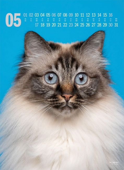 InsideView 5