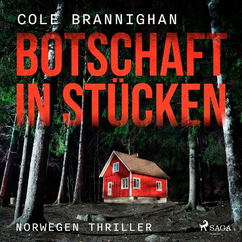 Botschaft in Stücken: Norwegen-Thriller - Cole Branninghan