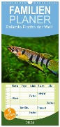Familienplaner 2024 - Beliebte Fische der Welt mit 5 Spalten (Wandkalender, 21 x 45 cm) CALVENDO - Rudolf Pohlmann